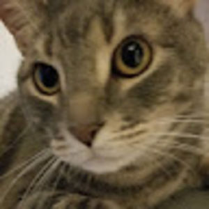 Meet your Posher, Alexis